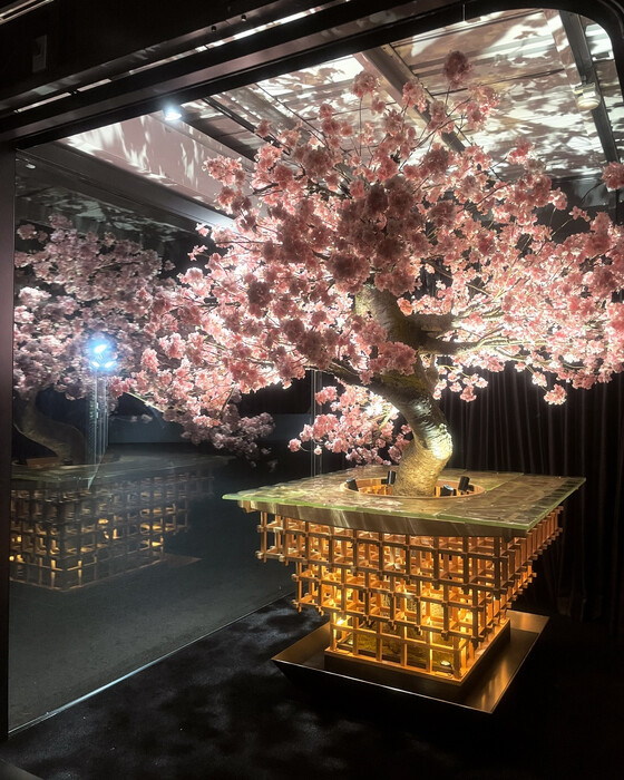 画像375