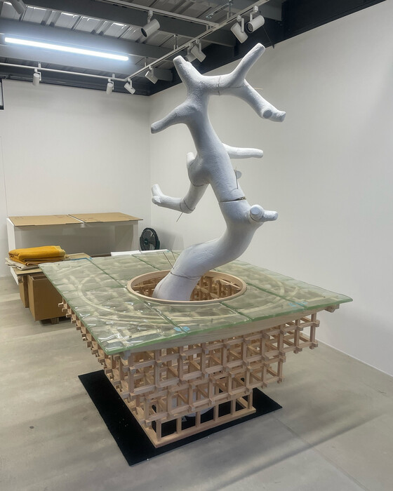 画像386