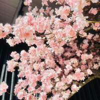 画像431