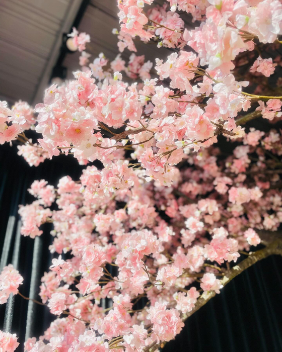 画像431