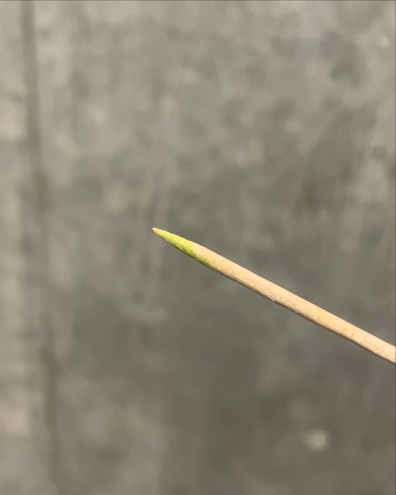 画像434