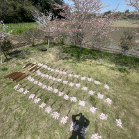 画像489