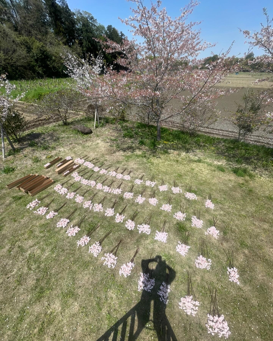 画像489