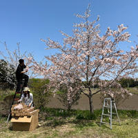 画像493