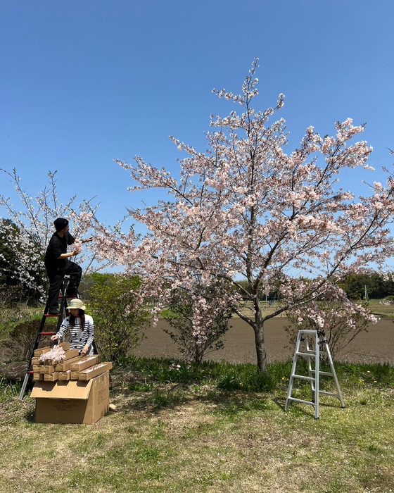 画像493