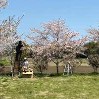 画像494