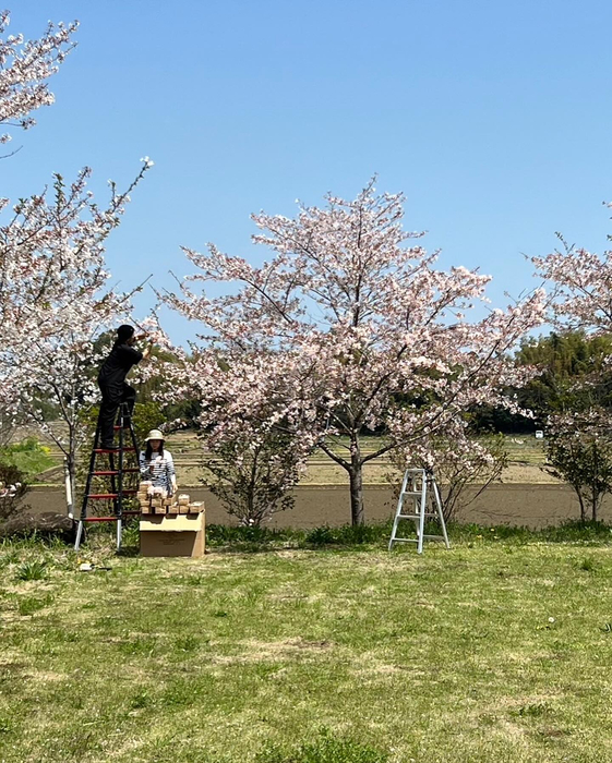 画像494