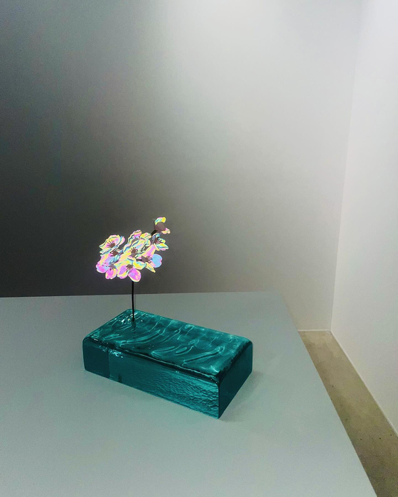 画像534