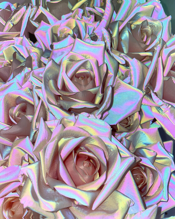 画像536