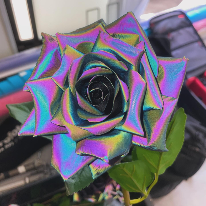 画像539