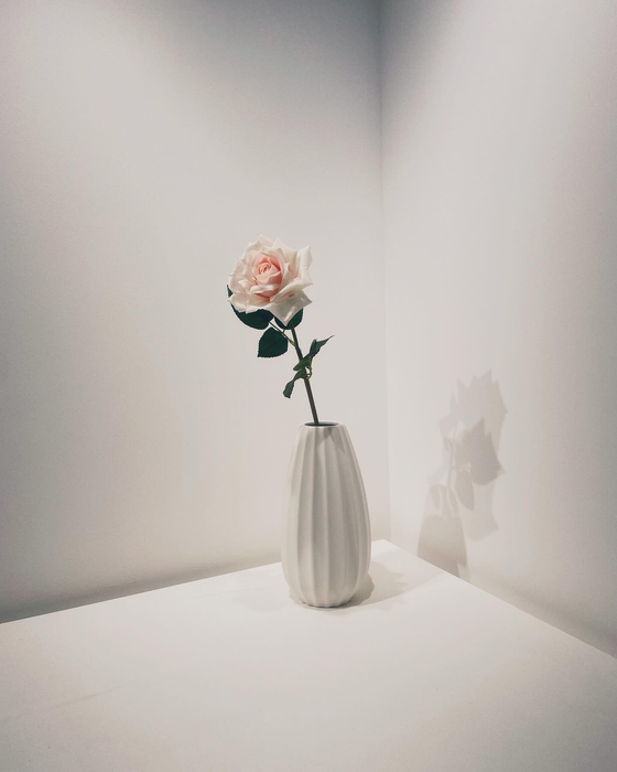 画像549