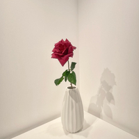画像561