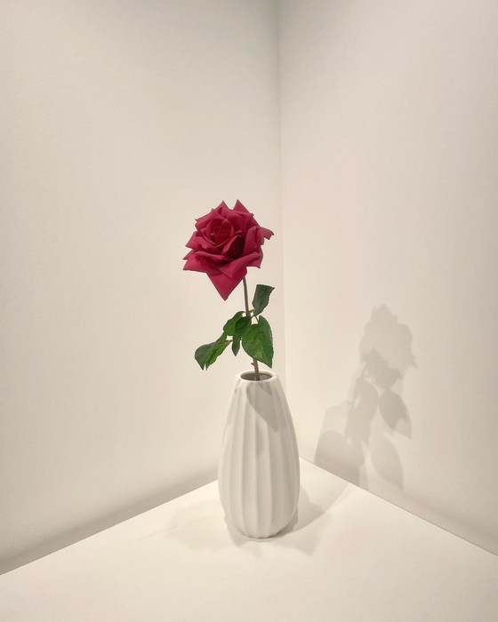 画像561