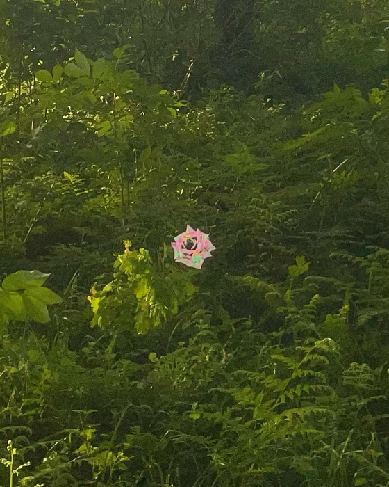 画像564