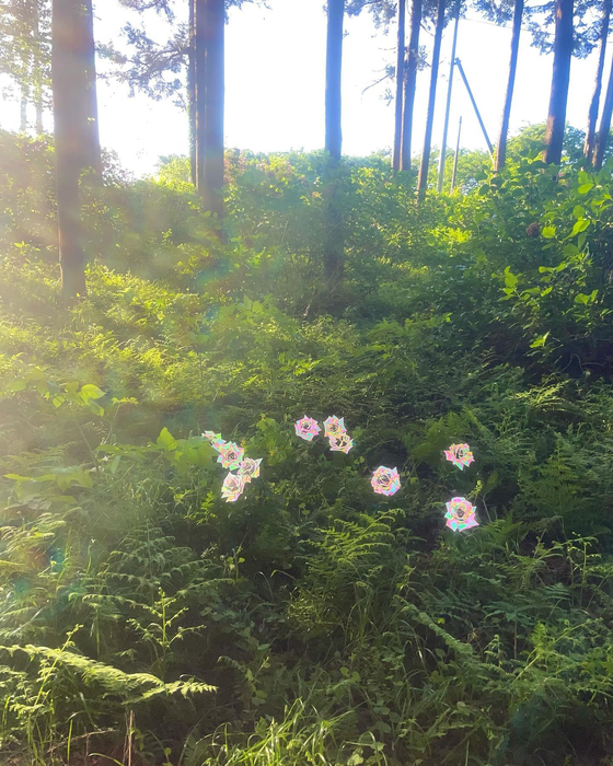 画像565