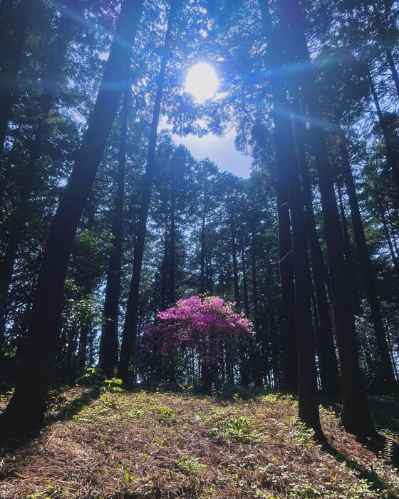 画像605