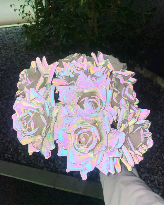 画像644