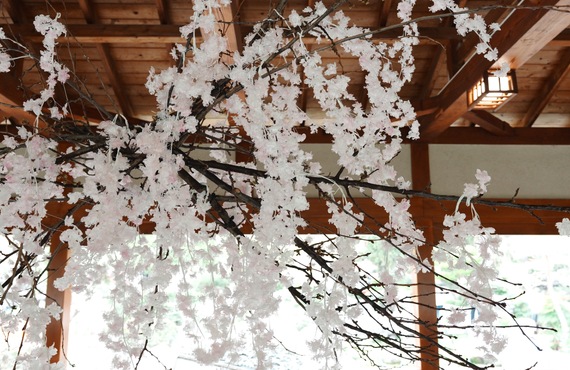 【ヨーロッパで絶賛】和紙の伝統と再生ガラスが紡ぐサステナブル空間アート「縁桜（えにしざくら）」