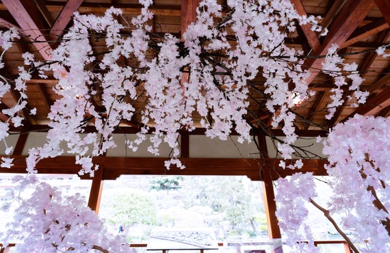 【100%オーガニック自然素材】ラグジュアリー空間を気品高く演出する「和紙の桜 2026モデル」