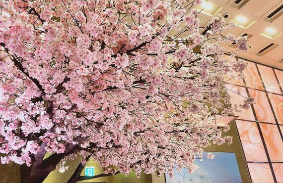 【圧倒的造形美】屋外・屋内に一瞬で春を創出。「桜巨木造形オブジェ＆和紙桜」全国レンタルパッケージ