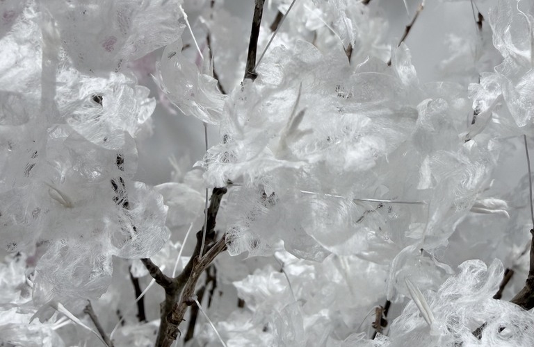 春のイベント装飾は桜だけで終わらせない、記憶に残る余白