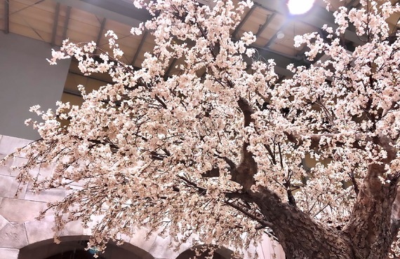 おしゃれな桜の演出 | 見る者の心を動かす桜のシンボルツリーでおもてなし空間をゴージャスに装飾