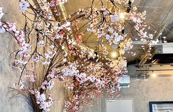 店舗の桜ディスプレイ提案｜桜で店舗の内装を春らしく飾りましょう。ディスプレイのことはアルチザンにご依頼ください。